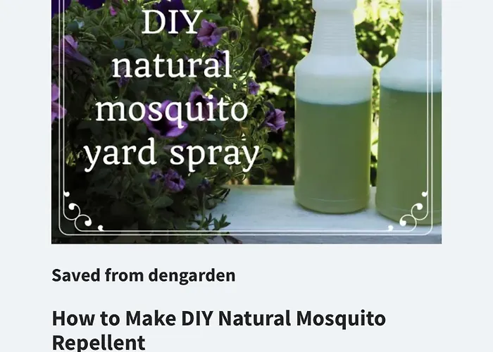 Rnr Bednbreakfast 3*